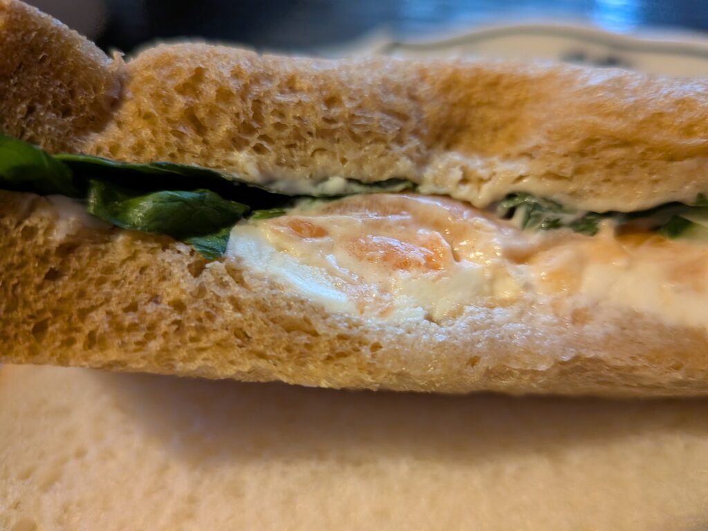 カフェサンドサーモンクリームチーズ&スモークチキン食べて満足